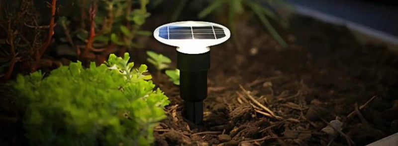 Come faccio a sapere se la telecamera del mio vicino sta filmando in casa mia?