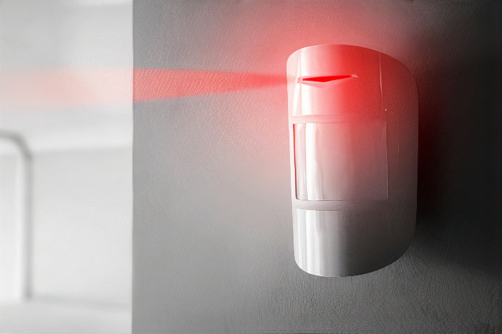 ¿Cómo sé si las cámaras están funcionando?