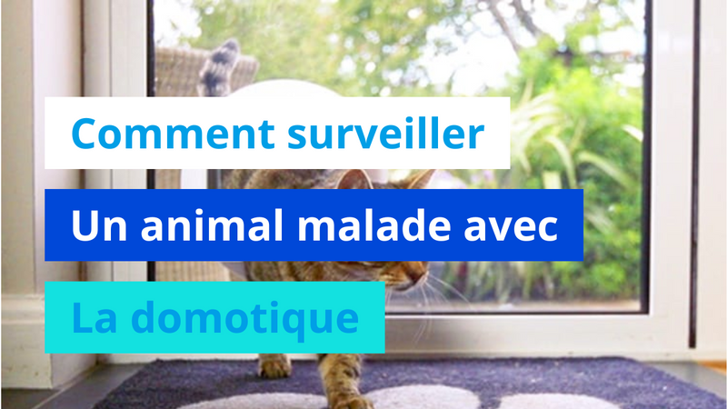 Comment surveiller un animal malade avec la domotique ?