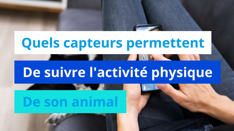 Quels capteurs permettent de suivre l'activité physique de son animal ?