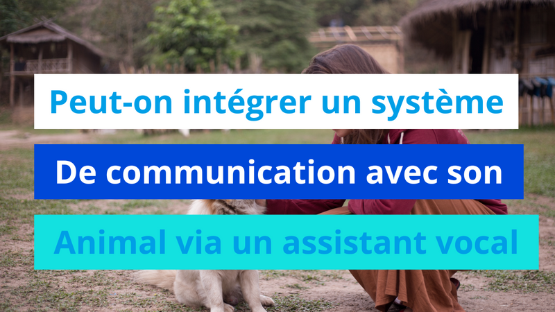 Peut-on intégrer un système de communication avec son animal via un assistant vocal ?