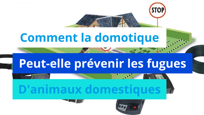 Comment la domotique peut-elle prévenir les fugues d'animaux domestiques ?