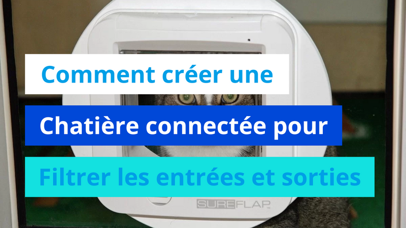 Comment créer une chatière connectée pour filtrer les entrées et sorties ?