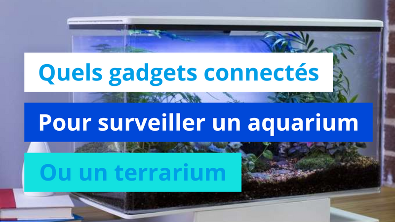 Quels gadgets connectés pour surveiller un aquarium ou un terrarium ?