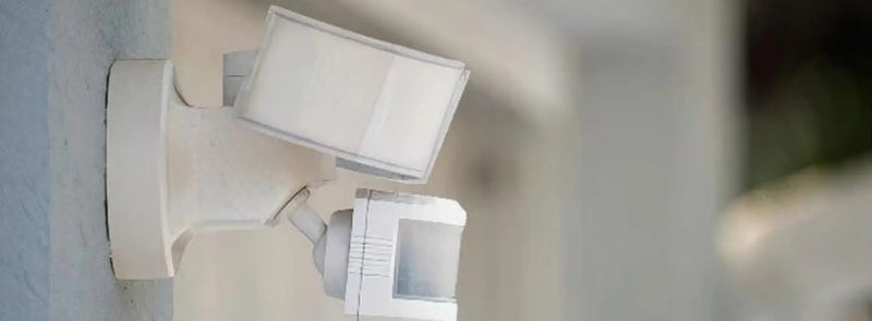 ¿Qué elemento principal forma parte del sistema de detección de intrusos?