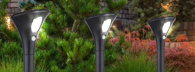 Qual è il ruolo di un rilevatore?