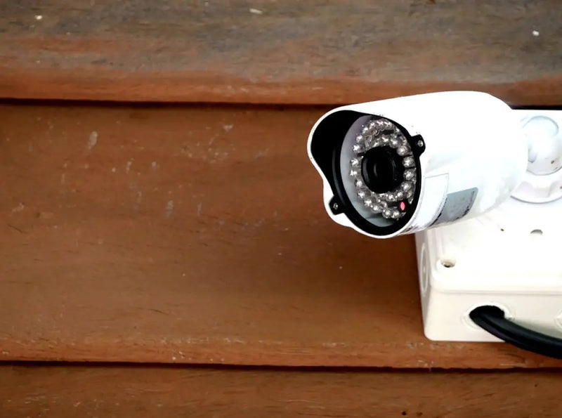 ¿Qué funciones adicionales están disponibles en las cámaras con sensor de movimiento?