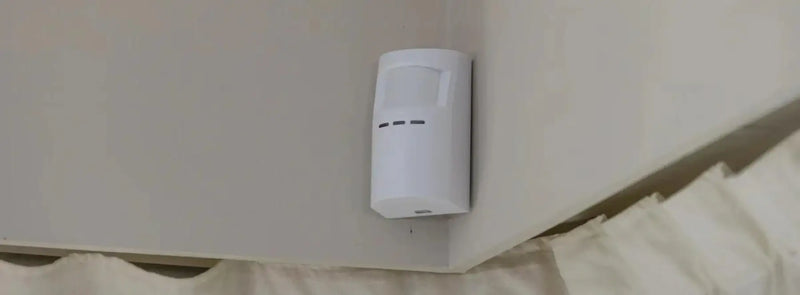 ¿Quién monitorea las cámaras de vigilancia?