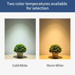 Ampoule détecteur de mouvement - Lumiere froide 100/130