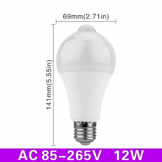 Ampoule détecteur de mouvement - Lumiere froide 5/12 Watts