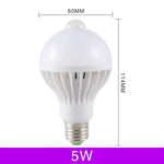 Ampoule détecteur de mouvement - Lumiere froide 5/9 Watts