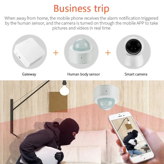 Détecteur de mouvement - Capteur de Surveillance