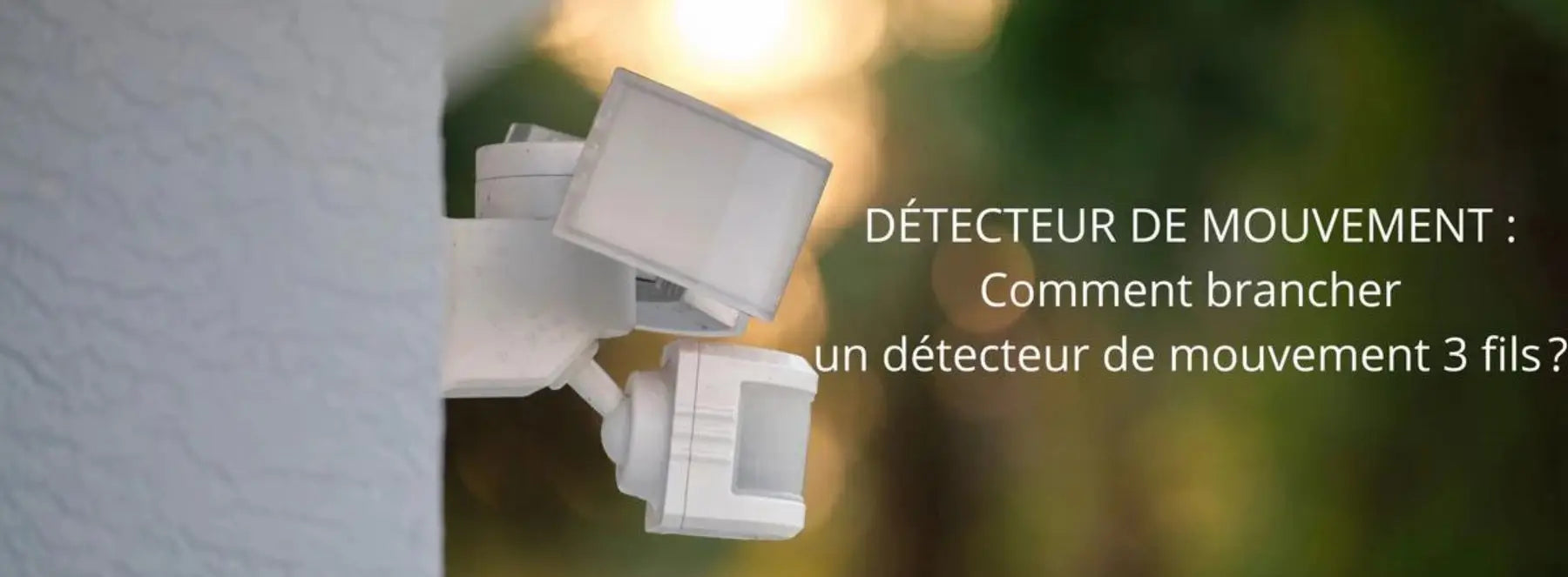 detecteur de mouvement zoom