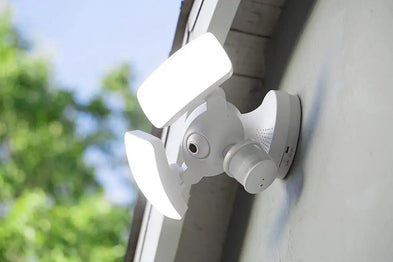 Le telecamere di sorveglianza hanno l'audio?