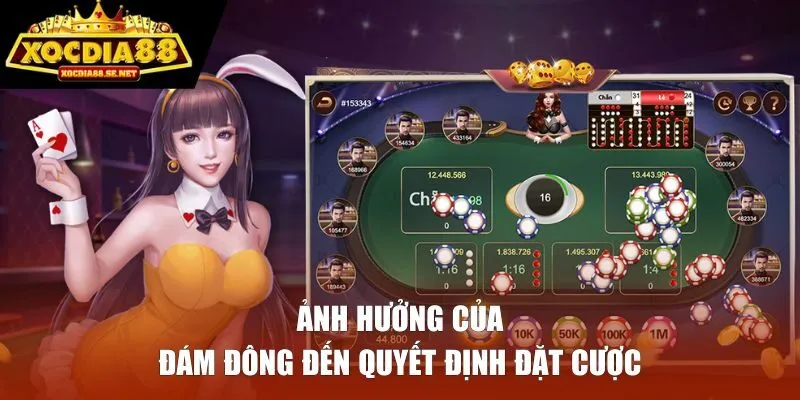 Ảnh hưởng của đám đông đến quyết định đặt cược