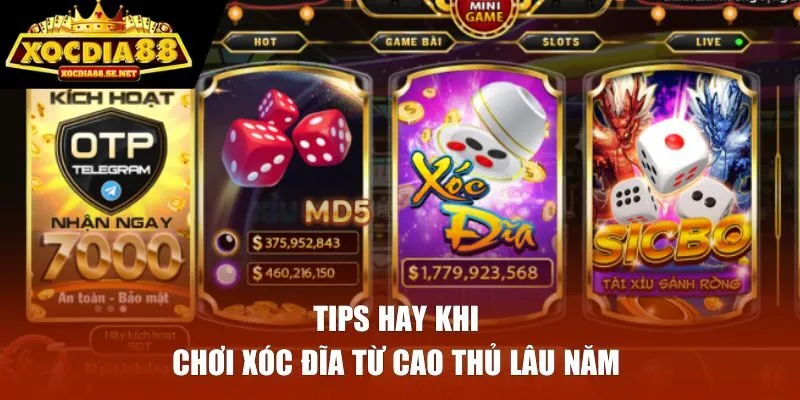 Tips hay khi chơi Xóc Đĩa từ cao thủ lâu năm 