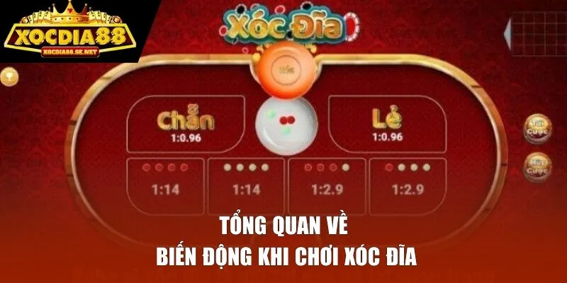 Tổng quan về biến động khi chơi xóc đĩa